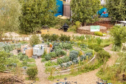 Photo of the Voedseltuin (communal garden)  in Rotterdam's Keile District
