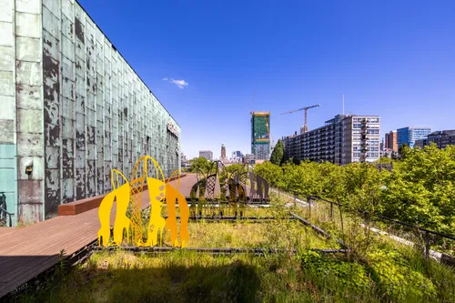 Photo of the green rooftop of de Doelen monumental building surrounded by green trees and a highrise building in the background