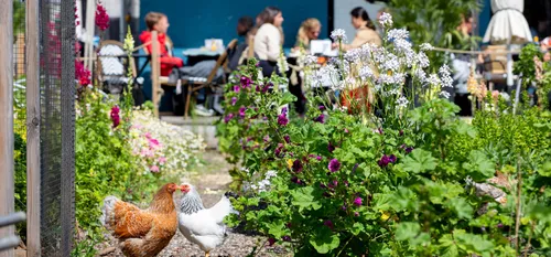 Photo of people enjoying Dakakker in Rotterdam