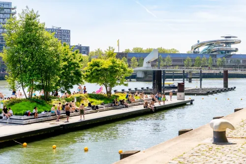 Sunny day at Rijnhaven in Rotterdam with people relaxing by the water near the Fenix warehouses and modern architecture.