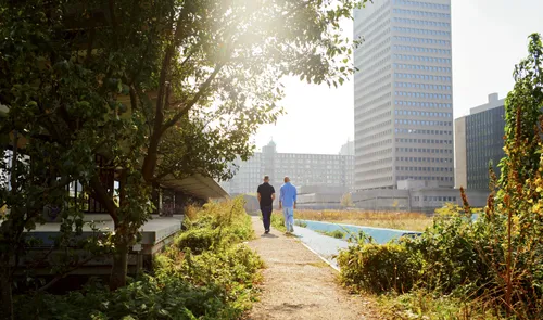 Wandelen in het Luchtpark Hofbogen