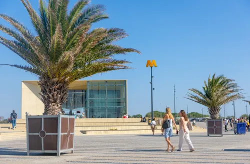 Twee statige palmbomen in grote plantenbakken markeren de entree naar het moderne metrostation van Hoek van Holland, herkenbaar aan de gele M tegen een strakblauwe lucht.
