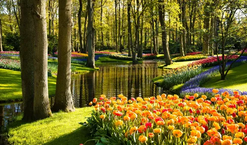 Tulpen in bloei in de Keukenhof bij Lisse foto door Maksim Shutov