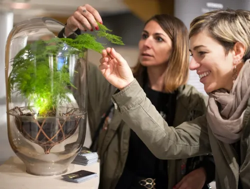 Two women examining Nova Innova's innovative Living Light Lamp.