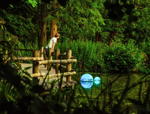 Person standing on a wooden deck in a park environment, stuyding a floating POND dome in the water.