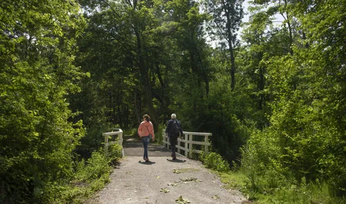 Een foto van mensen die wandelen in de Hoekse Bosjes in Hoek van Holland