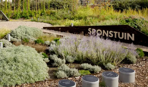 Een foto van de Sponstuin van de Urbanisten in Merwe-Vierhavens (M4H)