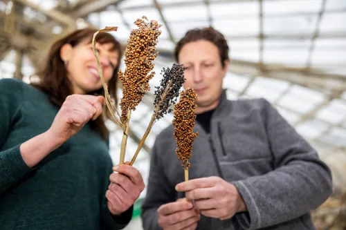 Photo of the founders of Springtail, an innovative food start-up, located at BlueCity in Rotterdam.