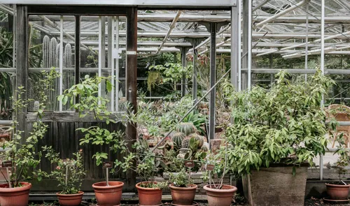 Een foto van de kassen bij Trompenburg