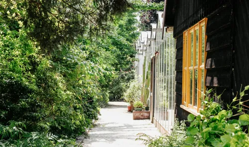 Een zomerse foto van de met cactussen gevulde kassen in Trompenburg Tuinen & Arboreteum