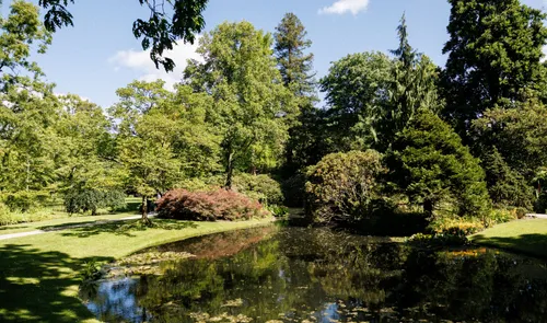 De botanische tuinen van arboretum Trompenburg