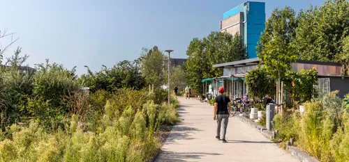 Photo of a person walking through the 'voedseltuin' at Keilehaven, Rotterdam