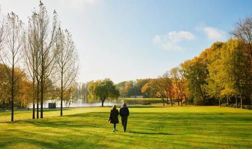 Een foto van wandelende mensen in het Zuiderpark in de herfst