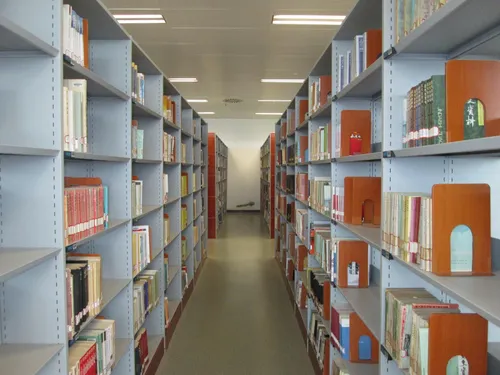 Photo of library cabinets with books