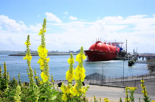 Photo of an energy carrier docked in Rotterdam's port area