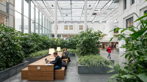 An open space at Erasmus MC filled with plants and greenery.