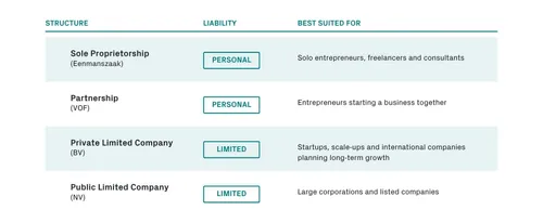 Comparison of common business structures in the Netherlands, including Sole Proprietorship (Eenmanszaak), Partnership (VOF), Private Limited Company (BV) and Public Limited Company (NV), showing liability and typical business use cases.