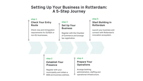 Horizontal infographic outlining five steps to set up a business in Rotterdam: checking visa and immigration requirements, establishing a legal presence, obtaining permits and licenses, preparing operations, and launching business activities.