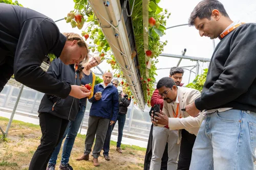 Entrepreneurs examining local food cultivation during a trade mission to India.